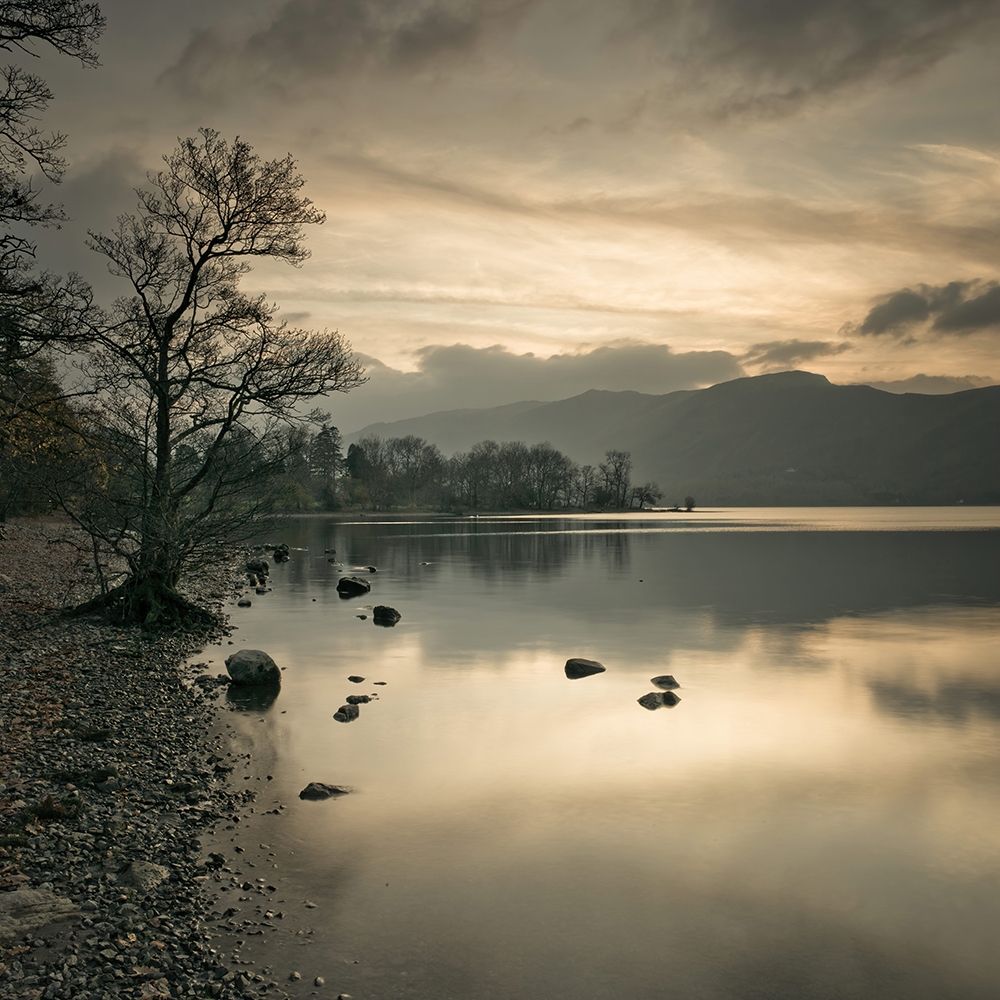 Still lake at dusk art print by Assaf Frank for $57.95 CAD