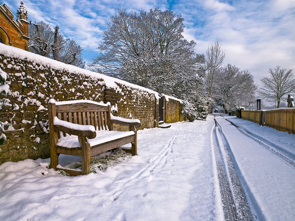 Bench in Snow art print by Assaf Frank for $57.95 CAD
