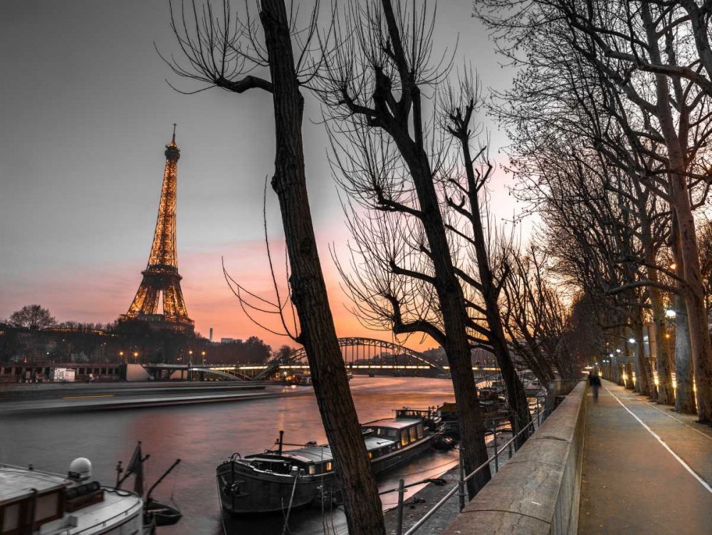 Row of trees, the river Seine and the Eiffel tower at dusk art print by Assaf Frank for $57.95 CAD
