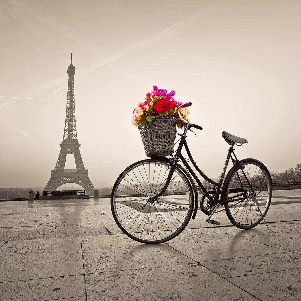 Bicycle with a basket of flowers next to the Eiffel tower art print by Assaf Frank for $57.95 CAD
