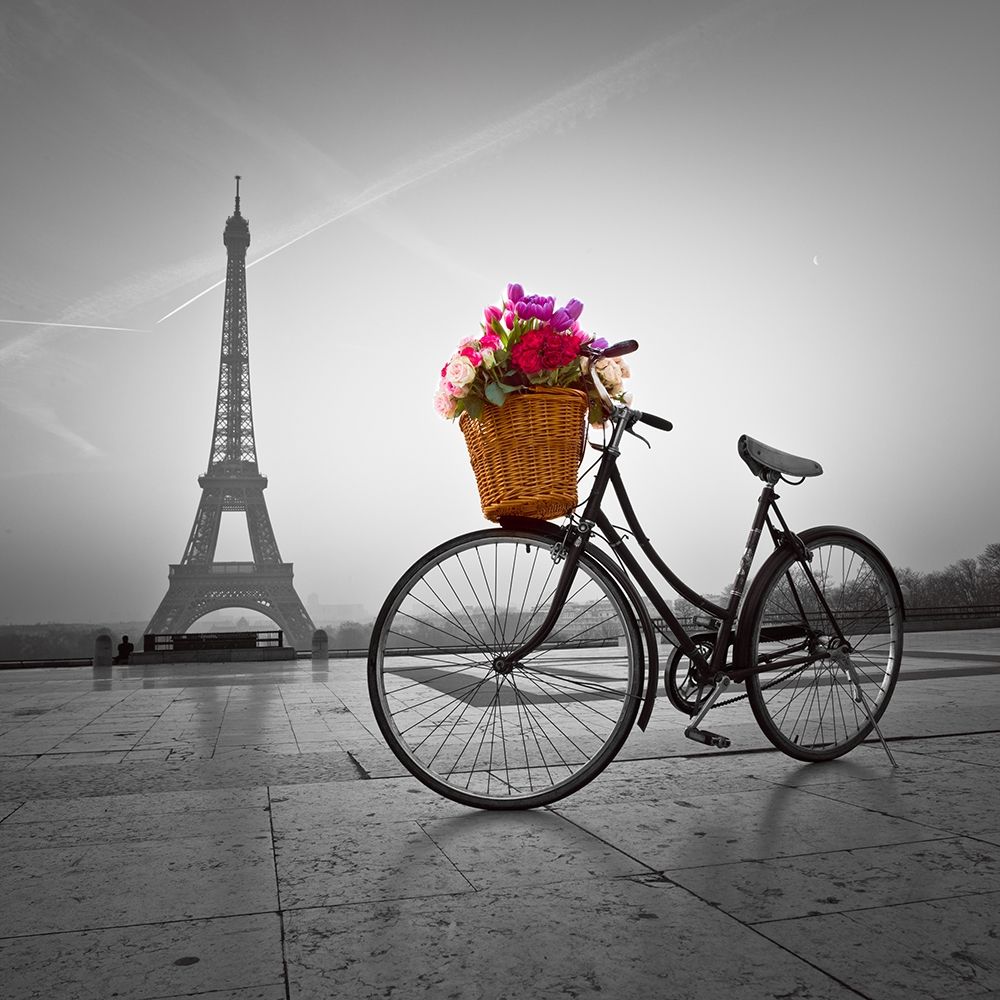 Bicycle with a basket of flowers next to the Eiffel tower art print by Assaf Frank for $57.95 CAD
