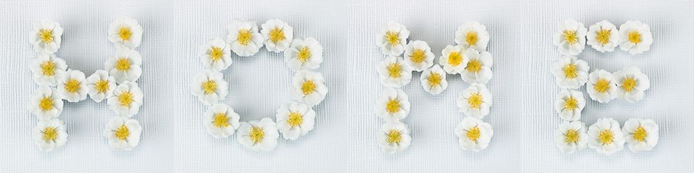 The word Home written in white Roses, FTBR-1915 art print by Assaf Frank for $57.95 CAD