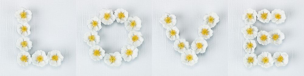 Word Love written in white Roses, FTBR-1916 art print by Assaf Frank for $57.95 CAD