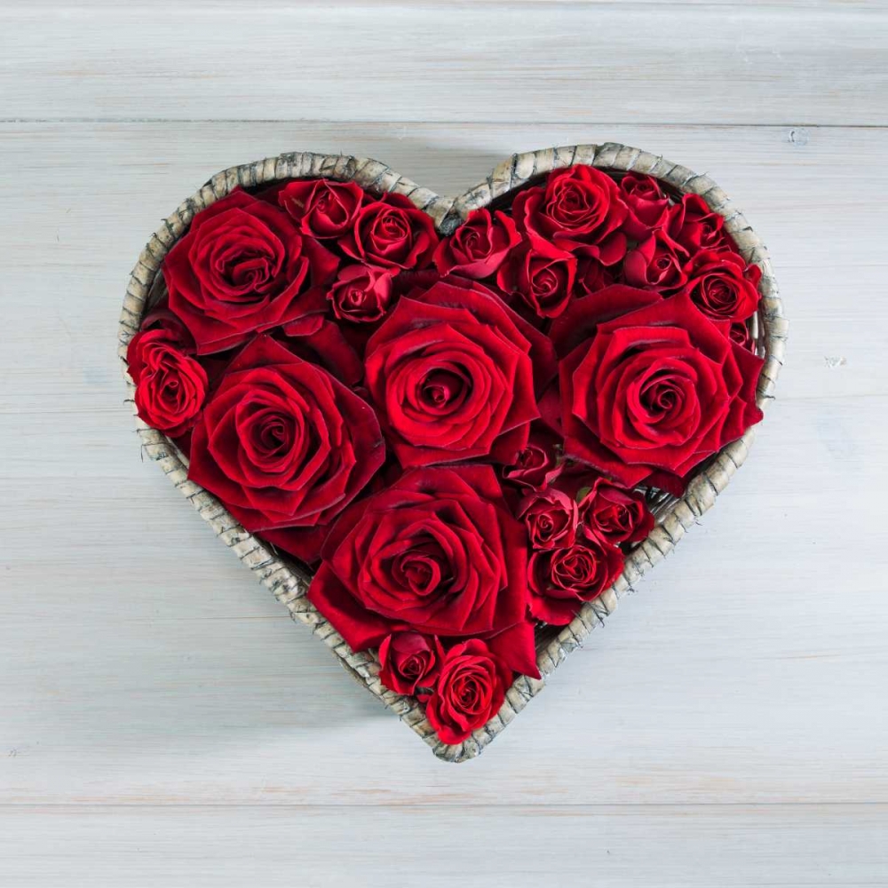 Roses in a heart shaped wicker basket art print by Assaf Frank for $57.95 CAD