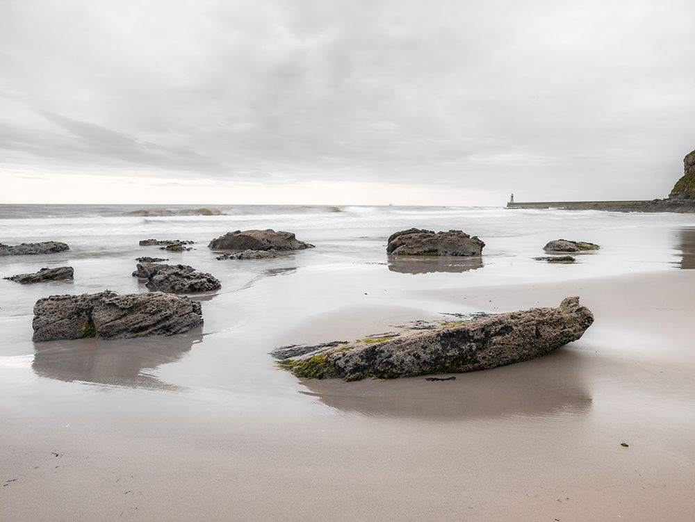 Rocks on a sandy beach art print by Assaf Frank for $57.95 CAD
