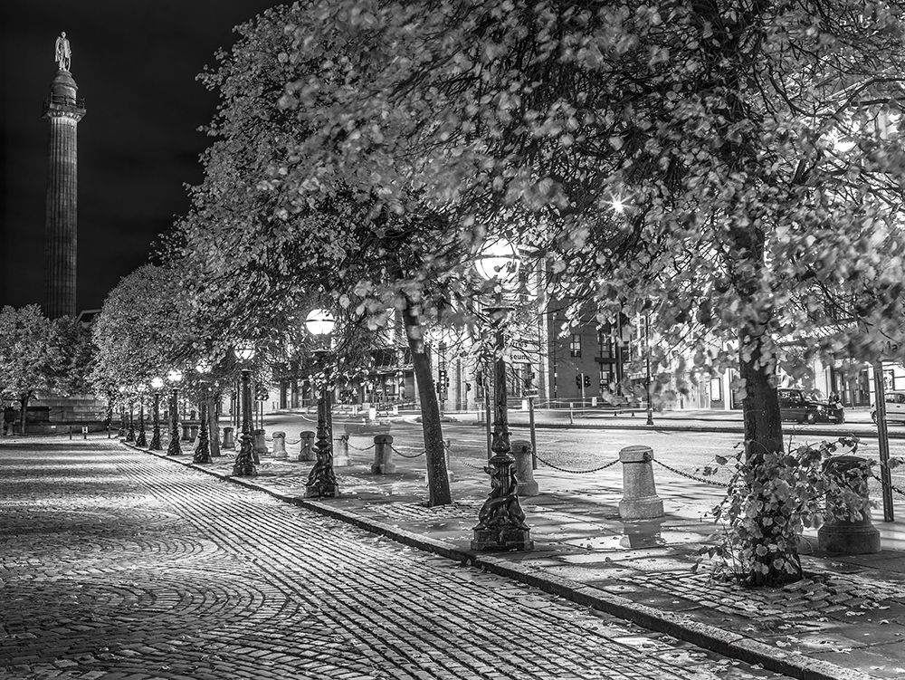 Row of trees at night art print by Assaf Frank for $57.95 CAD
