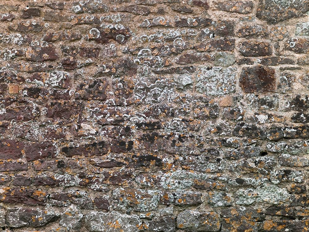 Old wall art print by Assaf Frank for $57.95 CAD