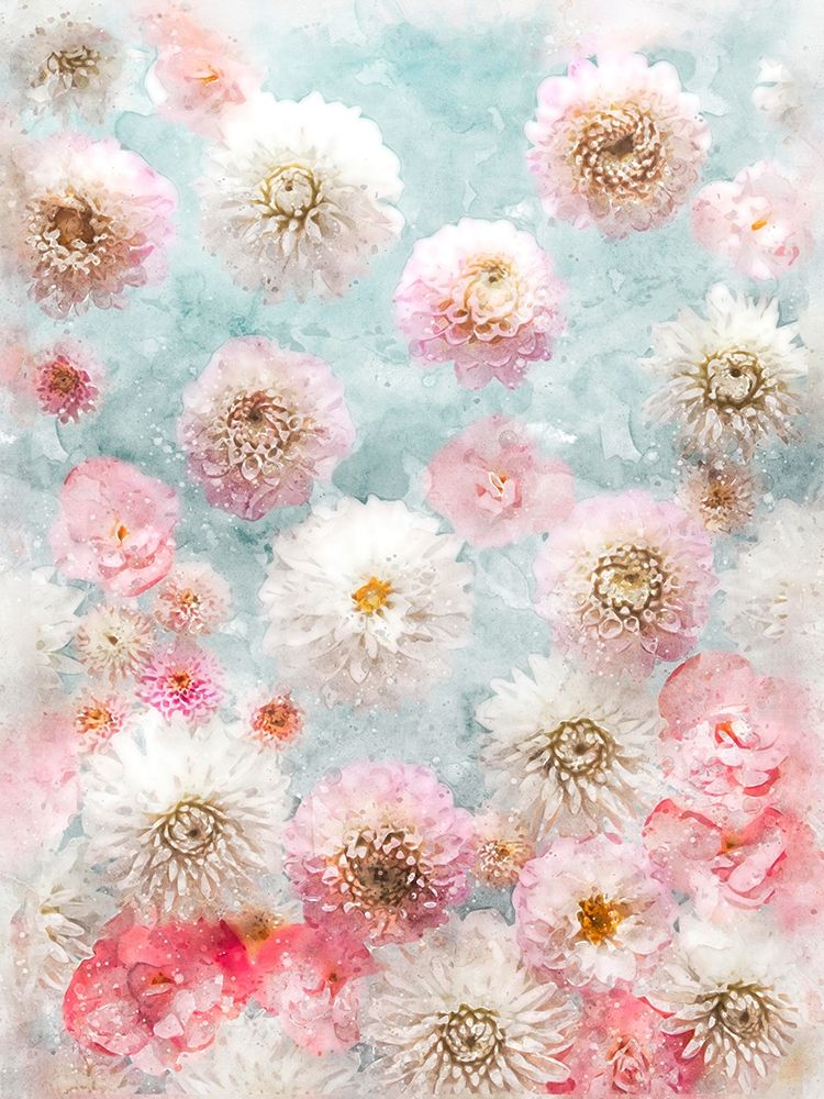 Dahlia Flowers art print by Assaf Frank for $57.95 CAD