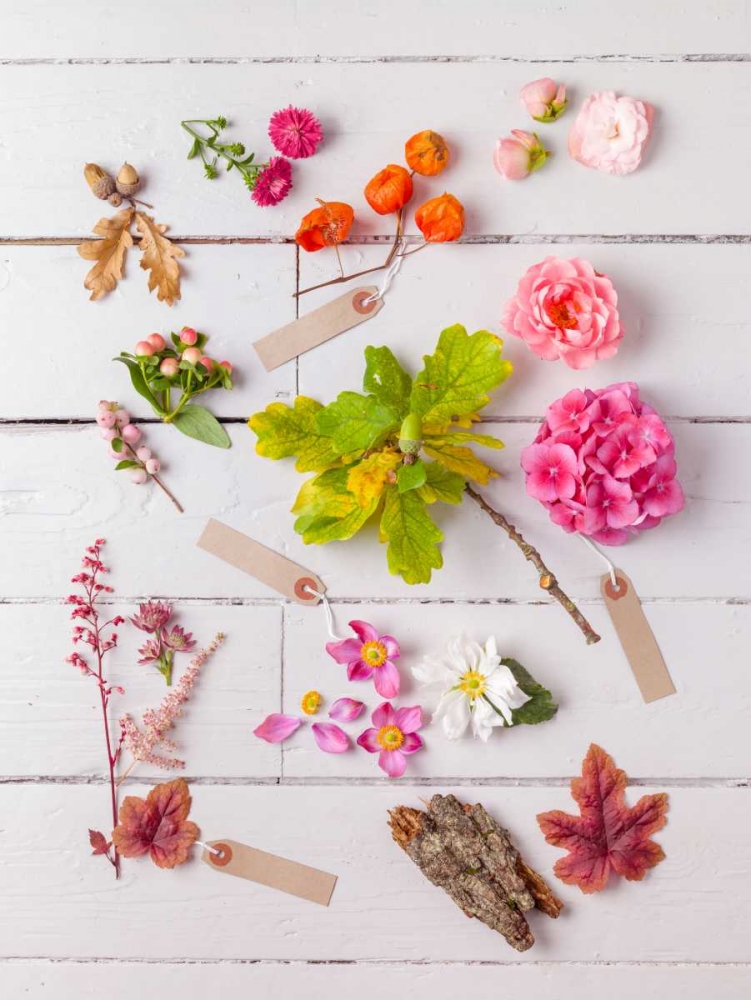 Eclectic plants on wooden background art print by Assaf Frank for $57.95 CAD