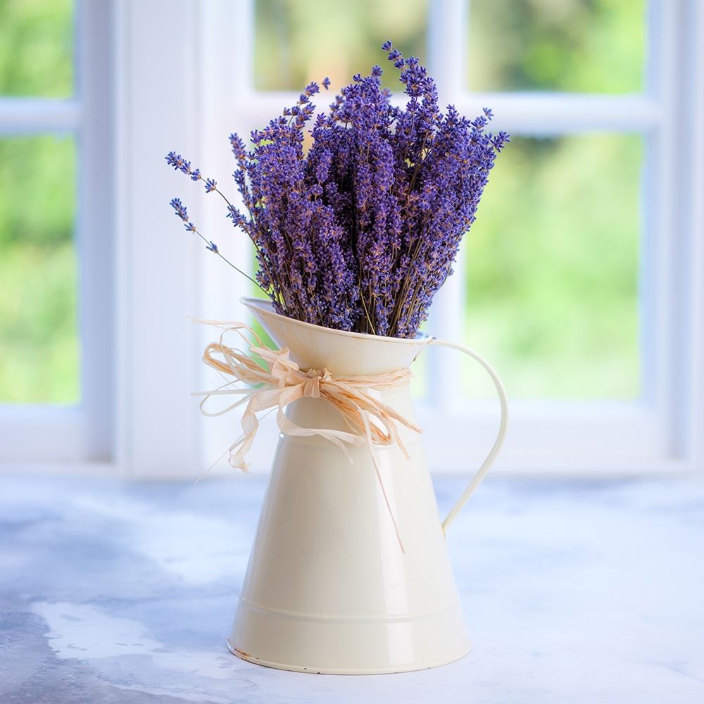 Bunch of lavender in antique jug by the window - Indoors art print by Assaf Frank for $57.95 CAD
