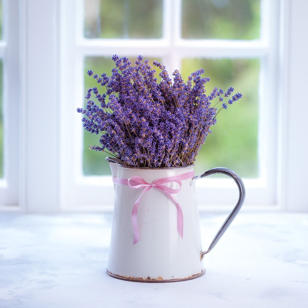 Bunch of lavender in antique jug by the window - Indoors art print by Assaf Frank for $57.95 CAD