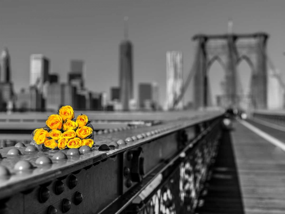 Bunch of roses on Brooklyn Bridge, New York art print by Assaf Frank for $57.95 CAD