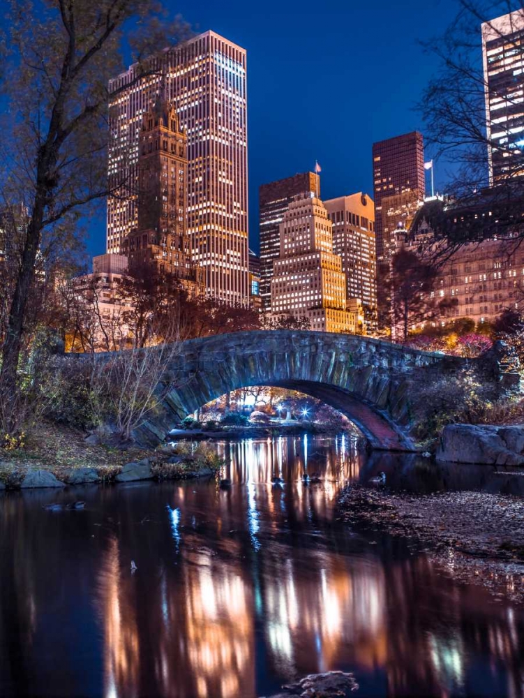 AF20131119 New York 1725C05 art print by Assaf Frank for $57.95 CAD