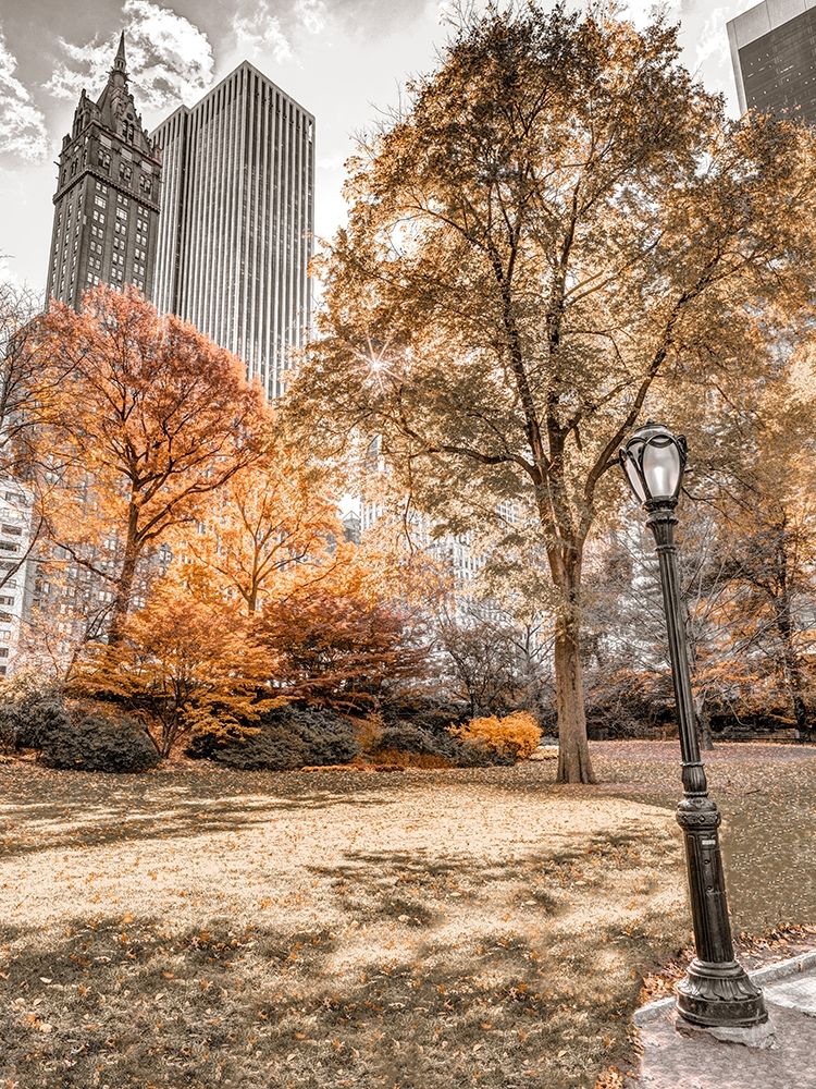 Central park in autumn-Manhattan-New York art print by Assaf Frank for $57.95 CAD