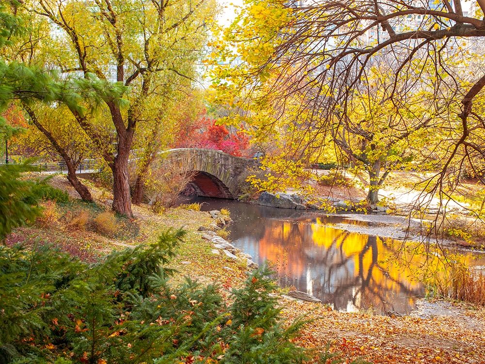 Gapstow bridge in autumn-Central Park-New York city art print by Assaf Frank for $57.95 CAD