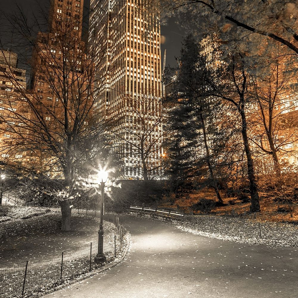 Evening view of Central Park in New York City art print by Assaf Frank for $57.95 CAD