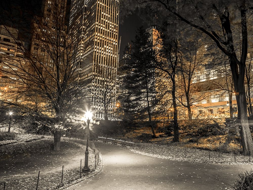 Evening view of Central Park in New York City art print by Assaf Frank for $57.95 CAD