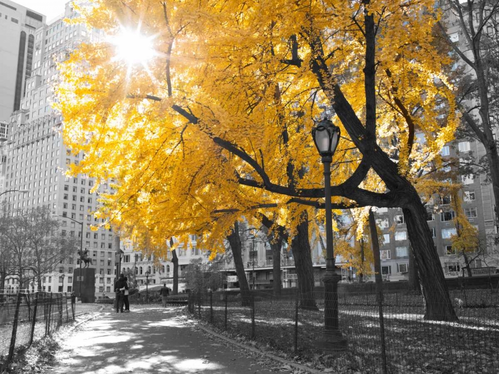 Pathway through Central park, New York City art print by Assaf Frank for $57.95 CAD