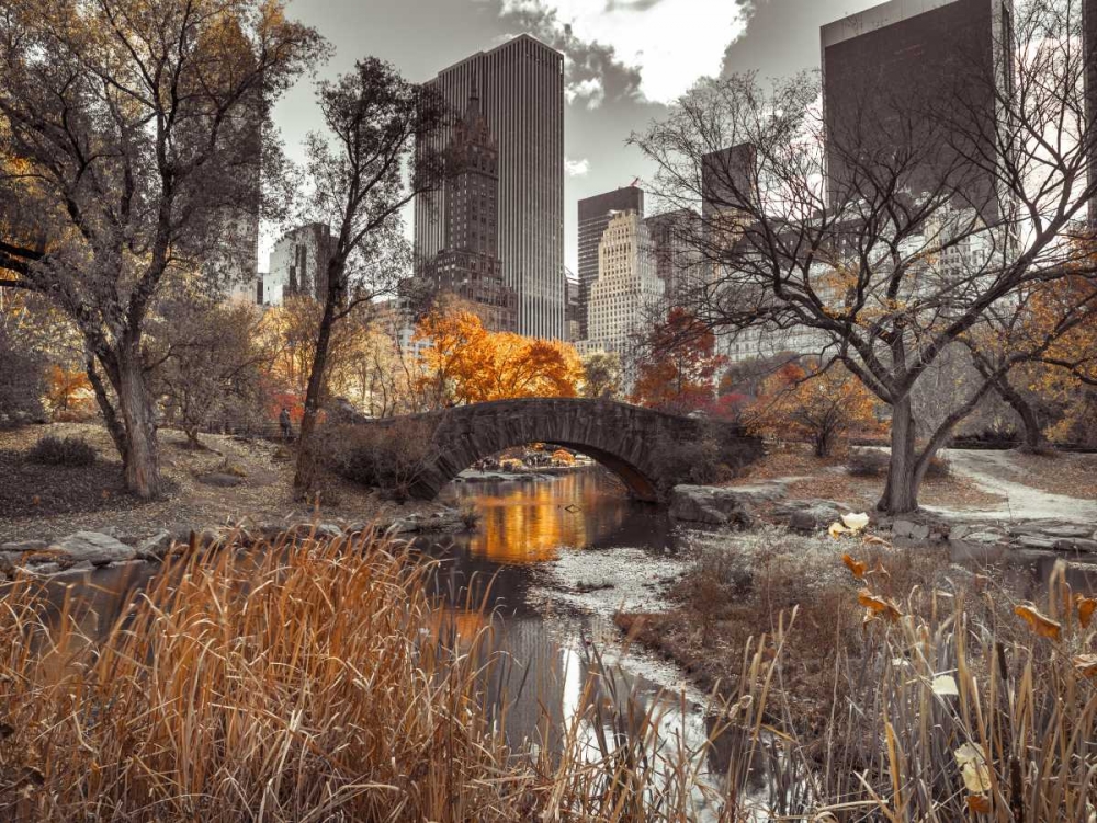 Gapstow Bridge in autumn, Central Park, New York city, FTBR-1801 art print by Assaf Frank for $57.95 CAD