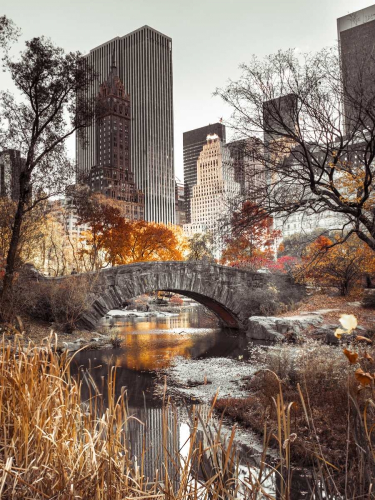 Gapstow bridge in autumn, Central Park, New York city, FTBR-1802 art print by Assaf Frank for $57.95 CAD