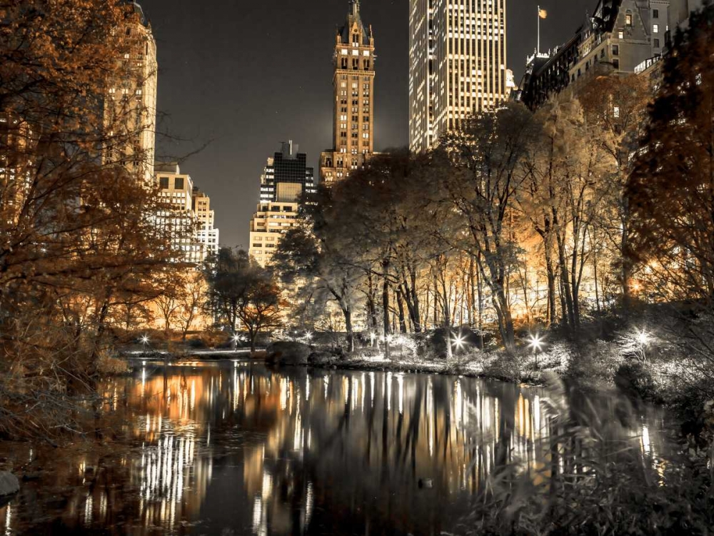 Evening view of Central Park in New York City, FTBR-1803 art print by Assaf Frank for $57.95 CAD