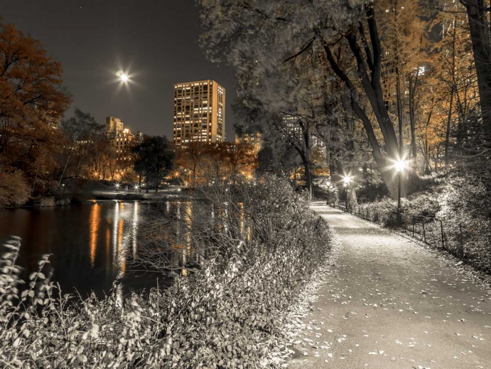 Evening view of Central Park in New York City art print by Assaf Frank for $57.95 CAD