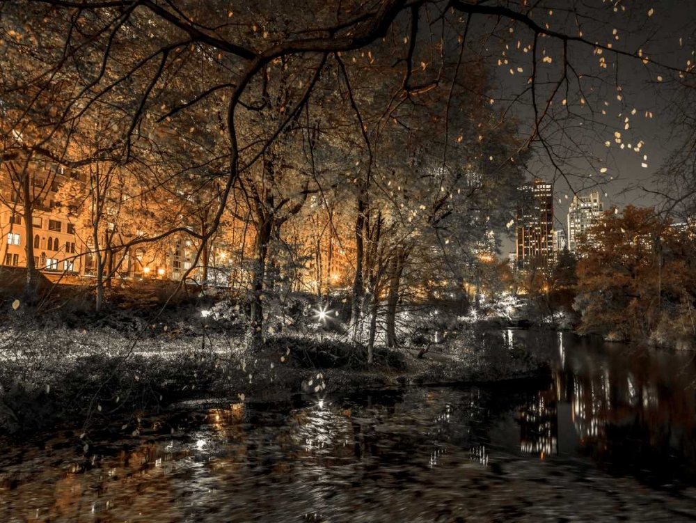 Evening view of Central Park in New York City art print by Assaf Frank for $57.95 CAD