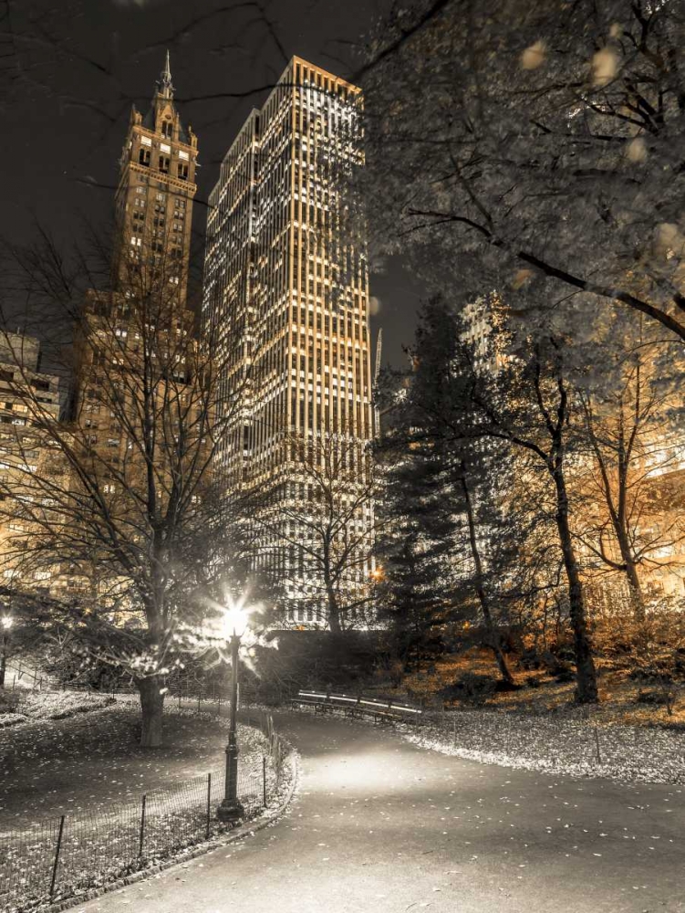 Evening view of Central Park in New York City art print by Assaf Frank for $57.95 CAD