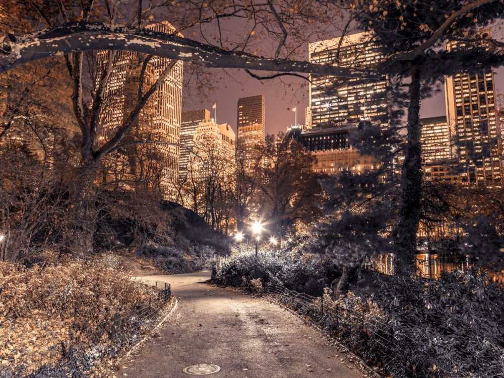 Evening view of Central Park in New York City art print by Assaf Frank for $57.95 CAD