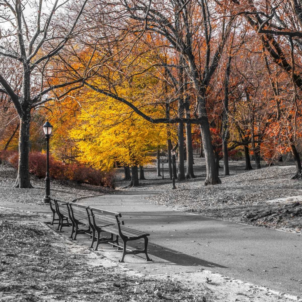 AF20131120 New York 1775C03 art print by Assaf Frank for $57.95 CAD