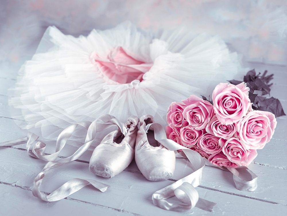 Ballet shoes and skirt art print by Assaf Frank for $57.95 CAD