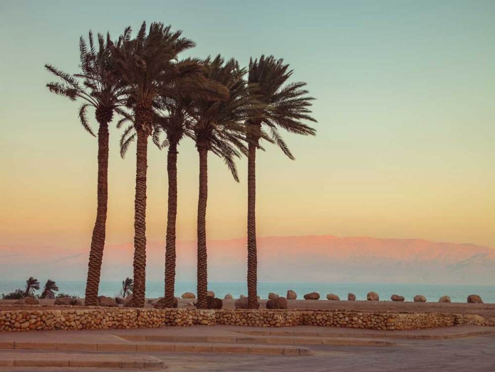 Palm trees on beach of Dead sea, Israel art print by Assaf Frank for $57.95 CAD