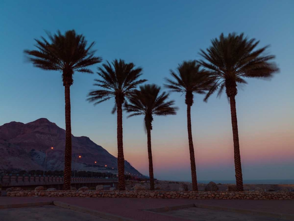 Palm trees on beach of Dead sea, Israel art print by Assaf Frank for $57.95 CAD