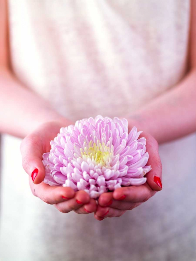 Female hands holding a flower art print by Assaf Frank for $57.95 CAD