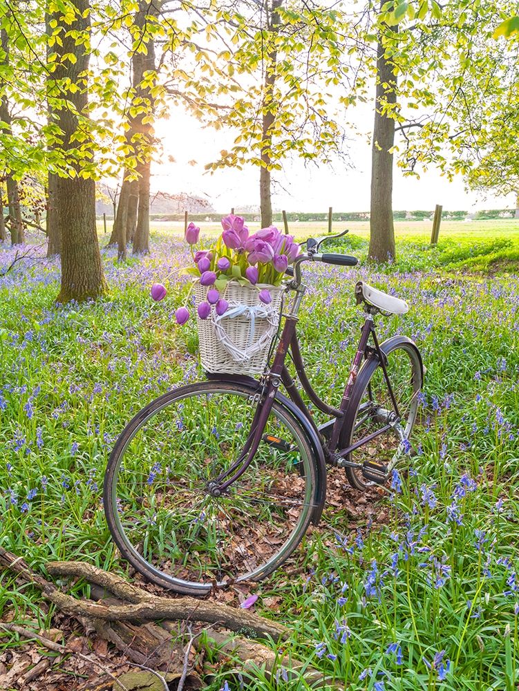 Bicycle in spring forest with bunch of flowers art print by Assaf Frank for $57.95 CAD