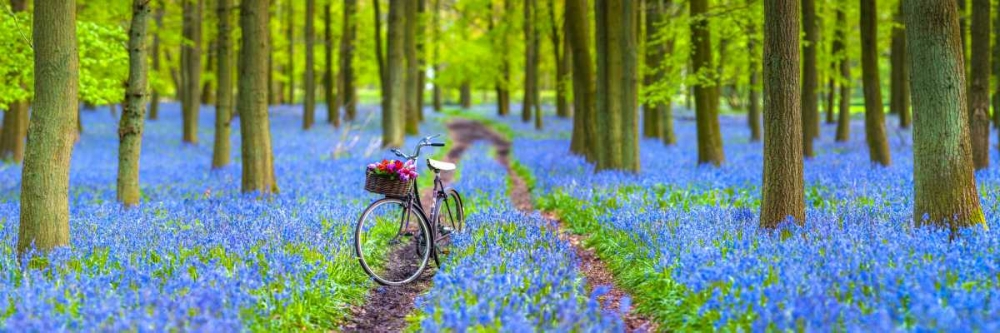 Bicycle in spring forest art print by Assaf Frank for $57.95 CAD