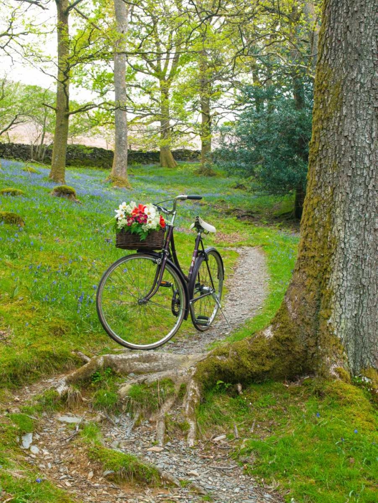Bicycle in spring forest art print by Assaf Frank for $57.95 CAD