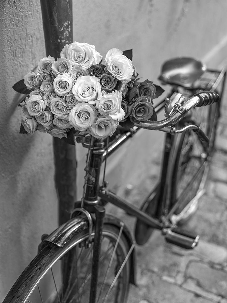 Bunch of Roses on bicycle, Paris, France art print by Assaf Frank for $57.95 CAD