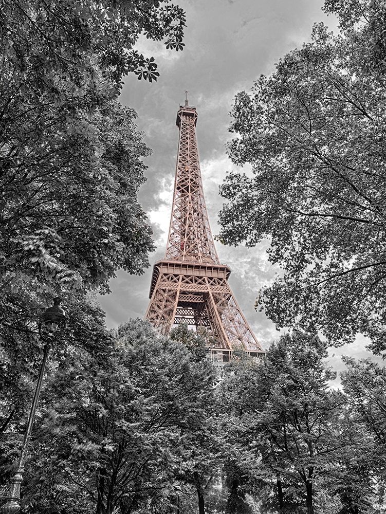 Eiffel Tower through trees art print by Assaf Frank for $57.95 CAD