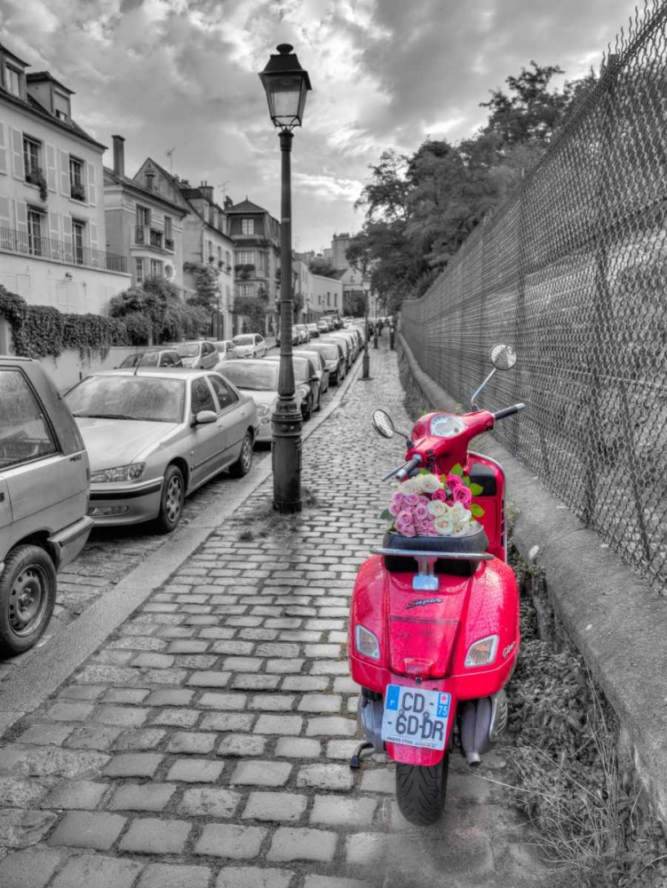 Bunch of Roses on scooter, Paris, France art print by Assaf Frank for $57.95 CAD