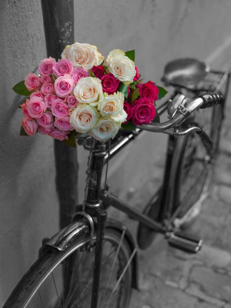 Bunch of Roses on bicycle, Paris, France art print by Assaf Frank for $57.95 CAD