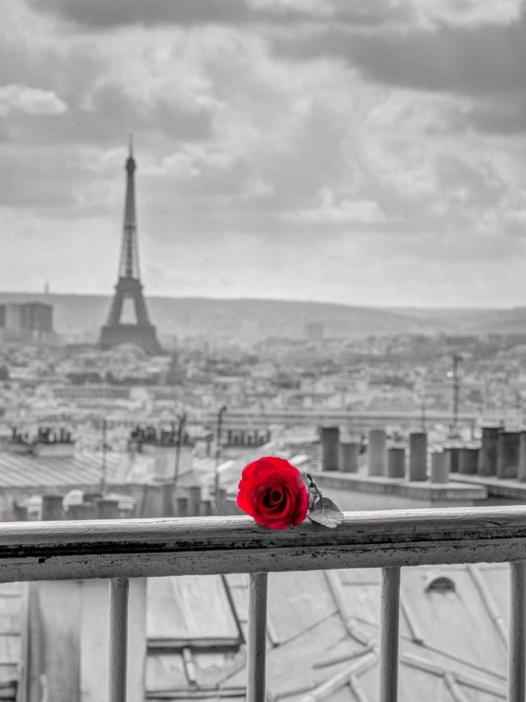 Rose on balcony railing with Eiffel Tower in background, Paris, France art print by Assaf Frank for $57.95 CAD