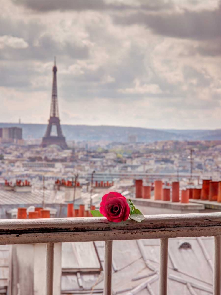 Rose on balcony railing with Eiffel Tower in background, Paris, France art print by Assaf Frank for $57.95 CAD