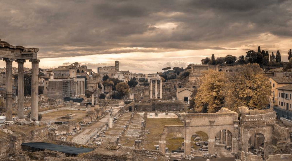 Ruins of the Roman Forum, Rome, Italy art print by Assaf Frank for $57.95 CAD
