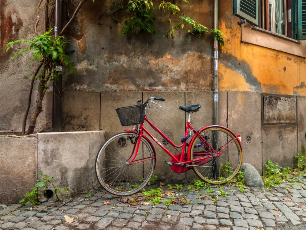 Bicycle outside old building, Rome, Italy art print by Assaf Frank for $57.95 CAD