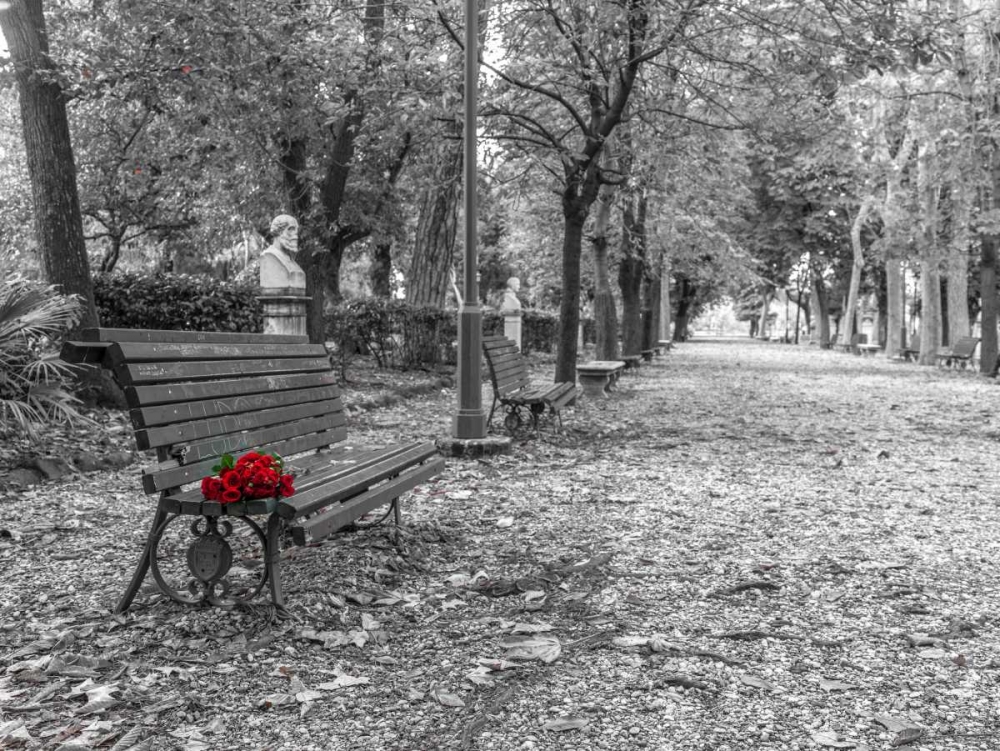 Bunch of roses on a park bench in Rome, Italy art print by Assaf Frank for $57.95 CAD