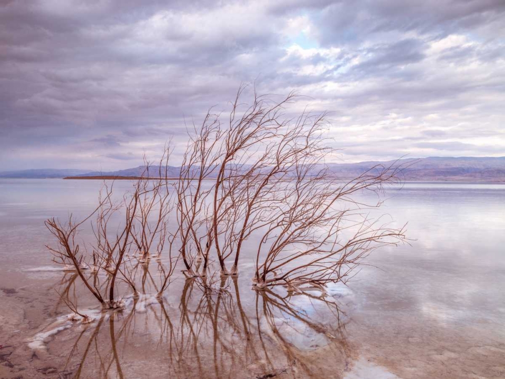 Dead Sea, Israel art print by Assaf Frank for $57.95 CAD