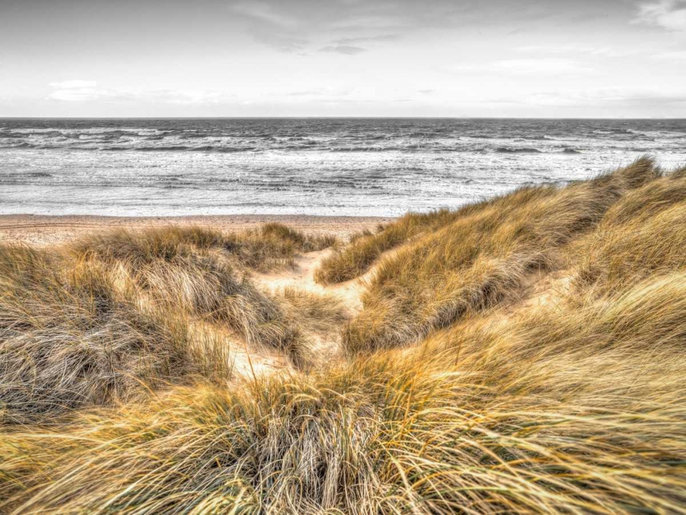Tranquil beach with grass, Blackpool, UK art print by Assaf Frank for $57.95 CAD