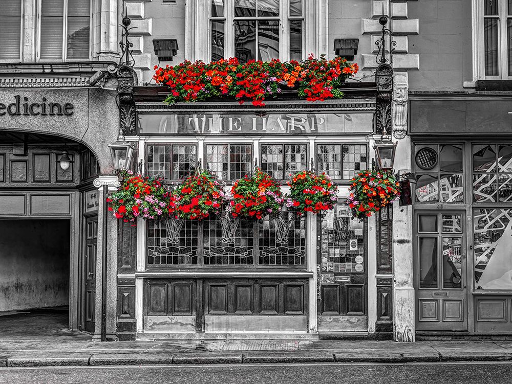 The Welsh Harp pub, London, UK art print by Assaf Frank for $57.95 CAD
