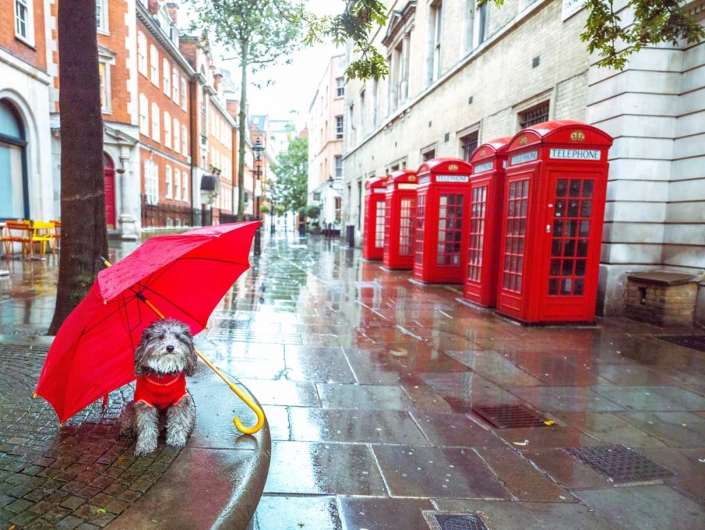 Dog with umbrella on London city street art print by Assaf Frank for $57.95 CAD